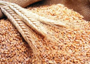 حبوب الدار البيضاء-سطات